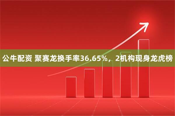 公牛配资 聚赛龙换手率36.65%，2机构现身龙虎榜